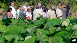 Científicos de santuarios marinos en Florida y Texas cooperarán con sus contrapartes cubanos para proteger la flora y fauna en ecosistemas vulnerables.