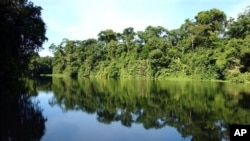 The jungle is reflected in one of the canals of Totuguero National Park, Costa Rica. (file)