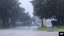 Unas garzas en una intersección de Westchase, Florida, durante las lluvias provocadas por la tormenta tropical Elsa el 7 de julio de 2021.