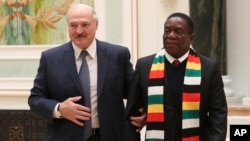 elarus' President Alexander Lukashenko, left, and Zimbabwe's President Emmerson Mnangagwa prior to their meeting in Minsk, Belarus, Thursday, Jan. 17, 2019. (Natalia Fedosenko/TASS News Agency Pool Photo via AP)