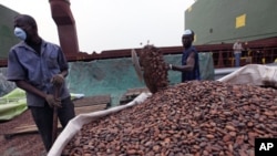 Un stockage du cacao au port d'Abidjan, en Côte d'Ivoire, le 17 janvier 2011.