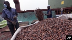 Stockage du cacao au port d'Abidjan