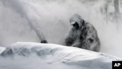 Neil Hodges uses a snow blower to clear drifting snow from in front of his home in Concord, N.H. on Saturday, Feb. 9, 2013.