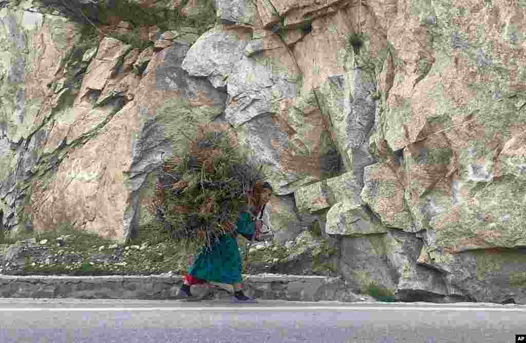 یک زن افغان در حومه کابل بار هیزم ‌می‌برد.
