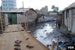 Hazaribagh is home to Dhaka's tanneries and is infamous as an environmental disaster. (A. Yee/VOA)