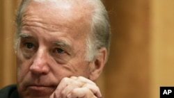 US Vice President Joe Biden (File Photo - November 29, 2011)