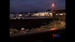 生产最新鲜食品的美国绿色良心企业