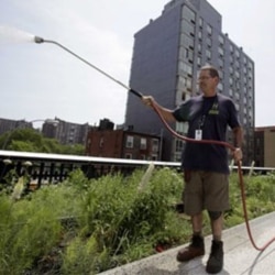 A man waters plants on the High Line