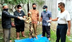 Balai Penegakan Hukum (Gakkum) Kementerian Lingkungan Hidup dan Kehutanan (KLHK) Wilayah Sumatera menangkap dua tersangka penjual kulit harimau Sumatera yang masih utuh. (Foto: Courtesy/KLHK)
