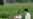 Hunger In Focus: Reducing Insects to Increase Crop Yield