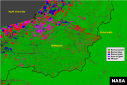 The border between Malaysia and Indonesia stands out in the Landsat-based map of forest disturbance. Red pixels represent forest loss between 2000 and 2012.