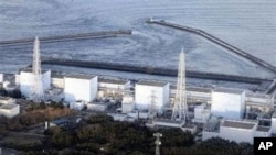 Japan's Fukushima nuclear plant (file photo)
