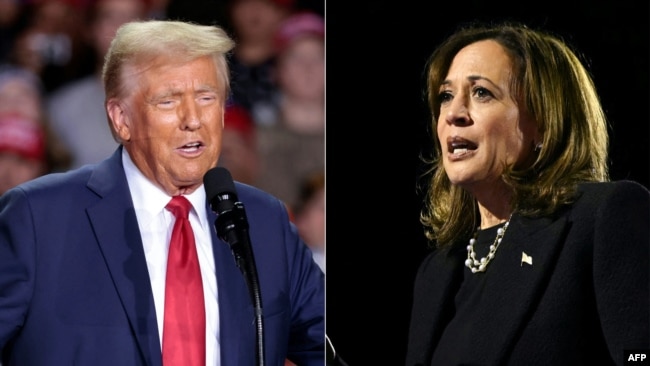 This combination of pictures shows former Republican presidential candidate Donald Trump (L) and Democratic presidential candidate Kamala Harris campaigning in November 2024. (Photo by JEFF KOWALSKY and ANDREW CABALLERO-REYNOLDS / AFP)