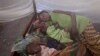WHO: Malaria Deaths Drop Dramatically
