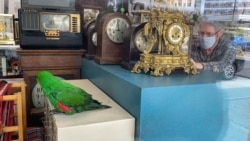 Edvard Kompton i njegov dvadesetogodišnji papagaj Doktor Peper