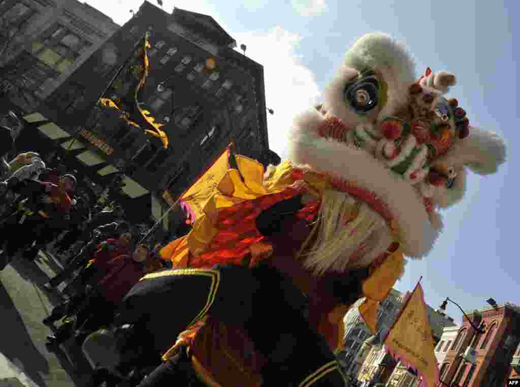 «Овечкин» и китайский новый год