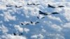 미군 B-1B·F-35B 한반도 상공 무력시위...문 대통령, 유엔총회 참석 출국