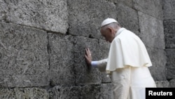 29일 폴란드 아우슈비츠 수용소를 방문한 프란치스코 교황이 '죽음의 벽'에 손을 얹은 채 기도하고 있다.