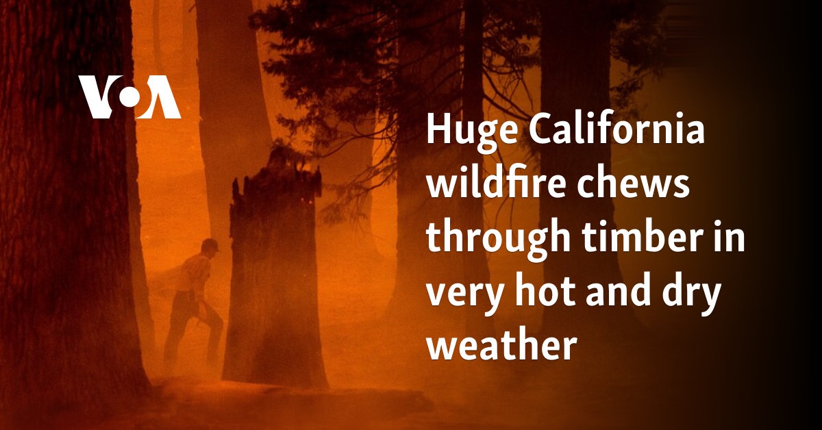 Huge forest fire in California eats through forest despite very hot and dry weather