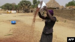 FILE - A photo taken on Feb. 23, 2017 shows a woman spreading grain in front of her house in Koza, in the extreme north of Cameroon.
