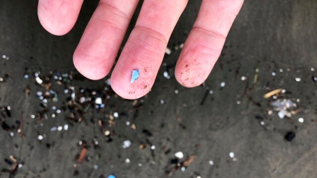 The Rise and Risks of Plastic and Microplastic Pollution - April 15, 2022