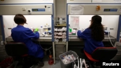 FILE - Students work in cancer research laboratories at the Old Road Campus research building at Oxford University, in Oxford, Britain, May 11, 2016. Universities will also be targeted in government’s effort to reduce numbers of foreign students.