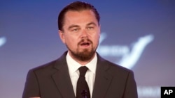 En 1998 Leonardo DiCaprio creó una fundación en defensa del medio ambiente y las energías renovables. 