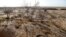 A picture taken in a abandoned village near the southern Iranian city of Sirjan shows dead pistachio trees in a field that farmers left behind because of the lack of water, Aug. 14, 2016.