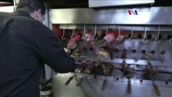 Advertencia de la OMS causa divisiones entre amantes de la carne
