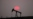 Precio del petróleo sigue subiendo mientras industria observa conflicto Irán-EE.UU.