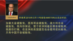 VOA连线(黄耀毅)：新任白宫经济顾问库德罗：中国将是唯一被征收关税的国家