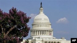 The Capitol is seen in Washington, DC, July 7, 2011 (file photo)