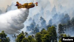 Arhiva - Vatrogasni avion "Kanader" ispušta morsku vodu na plamen tokom gašenja šumskog požara u blizini sela Elinika, na ostrvu Evija, Grčka, 8. avgusta 2021.