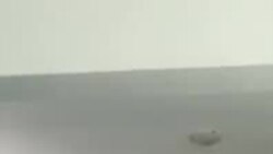 Tsvangirai: UMugabe Sokumele Atshiye Umsebenzi