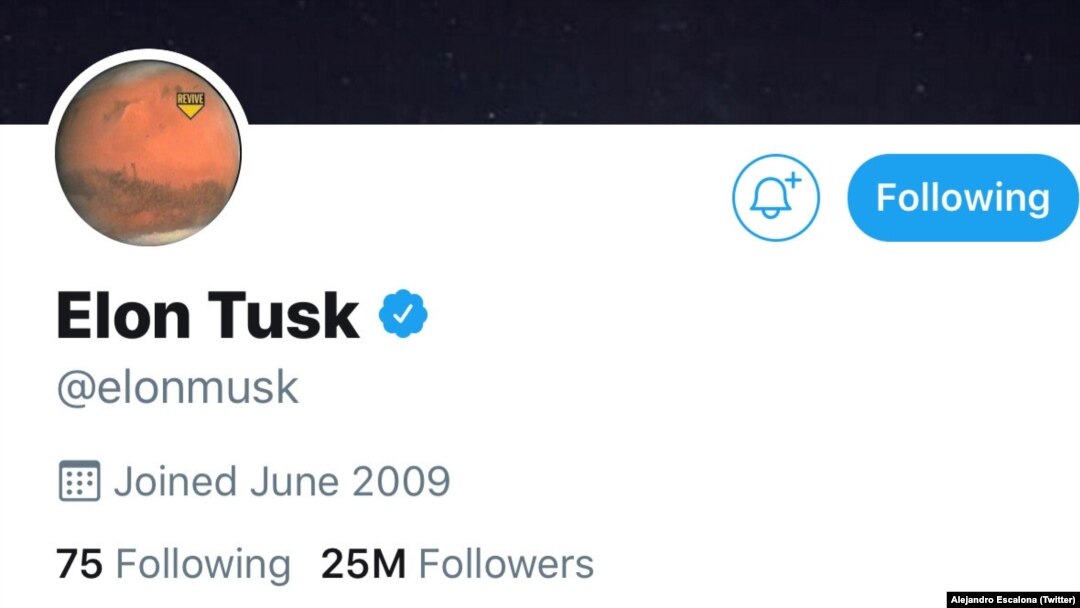 Así se ve la cuenta de Twitter de Elon Musk este miércoles 27 de febrero. Elon, el "colmillo".