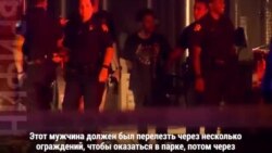 Лев на страже зоопарка