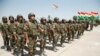 آمریکا ممکن است سامانه‌های پدافند هوایی در اختیار پیشمرگه‌های کُرد عراقی قرار دهد