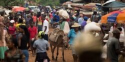 A Kore Lavi marketplace bustling with activity. (Photo: USAID)