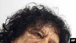 A peacock displays its feathers at the zoo in Lille, France. 