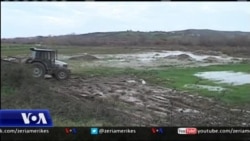 Situata e përmbytjeve në zonën e Lushnjës