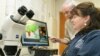FILE - Entomologists Walter Tabachnick, left, and Roxanne Connelly consult computer images of chikungunya virus at the Florida Medical Entomology Laboratory in Vero Beach, Fla., April 23, 2007. 