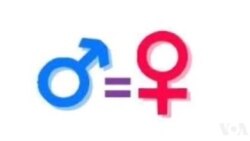 Aspè Ekonomi an nan Kesyon Egalite Fanm ak Gason ann Ayiti