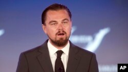 Es la donación más grande que haya hecho la Fundación Leonardo DiCaprio desde su creación en 1998.