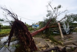 A tree, uprooted when Hurricane Grace slammed into the coast with torrential rains, fell on a house, in Tecolutla, Mexico, Aug. 21, 2021.