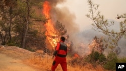 Vatrogasci gase požar u Bodrumu, u Turskoj