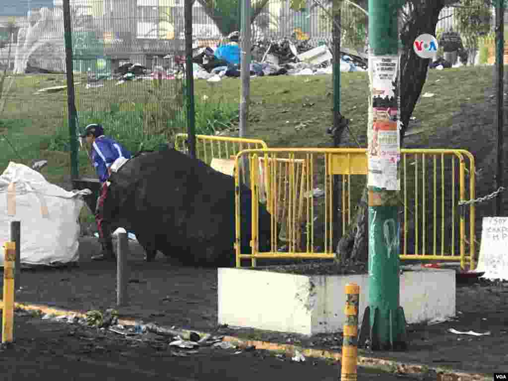 Un operativo de limpieza, precedió al fin de las protestas en Quito.