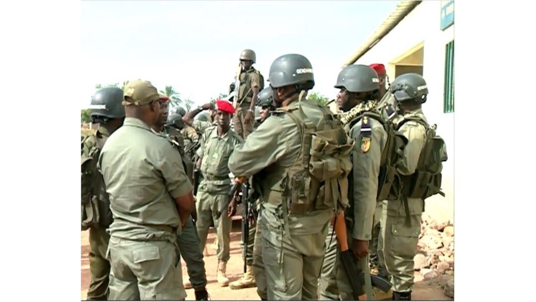 A team of Cameroon military members fighting against the proliferation of weapons is seen in Garoua, Cameroon, Dec. 15, 2019. (Moki Edwin Kindzeka/VOA)