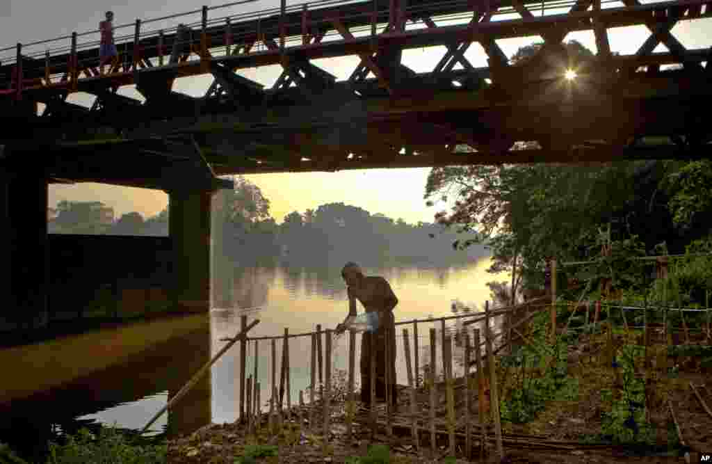 A Sri Lankan man waters his vegetable garden cultivated on the banks of river Kelani in Colombo, Sri Lanka. Many Sri Lankans living in urban areas maintain kitchen gardens for their daily consumption.