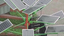 Indian 'Solar Tree' to Allow for Smaller Solar Parks