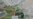 Indian Scientists Design Solar Tree to Save Space for Solar Power Generation